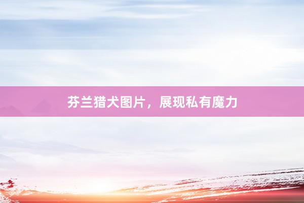 芬兰猎犬图片，展现私有魔力